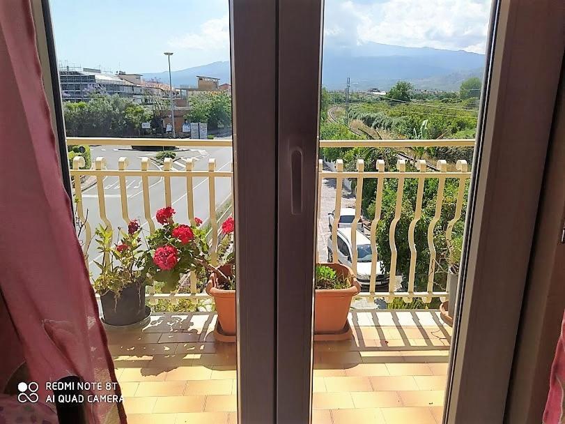 Family Double Room