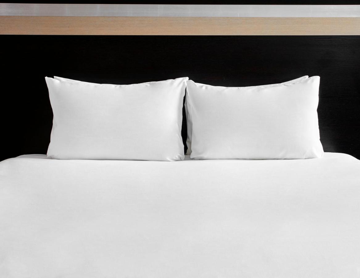 Standard Queen Room - Accessible,1742640059:JPEG