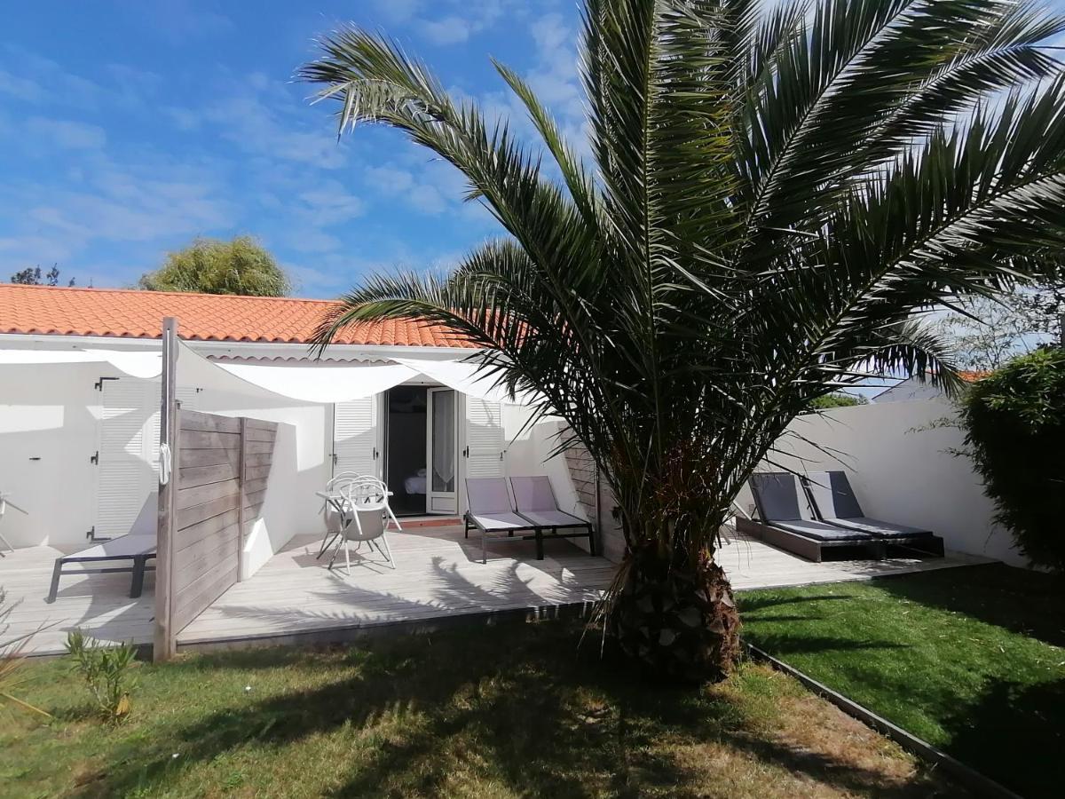 Studio 21m2 Premium