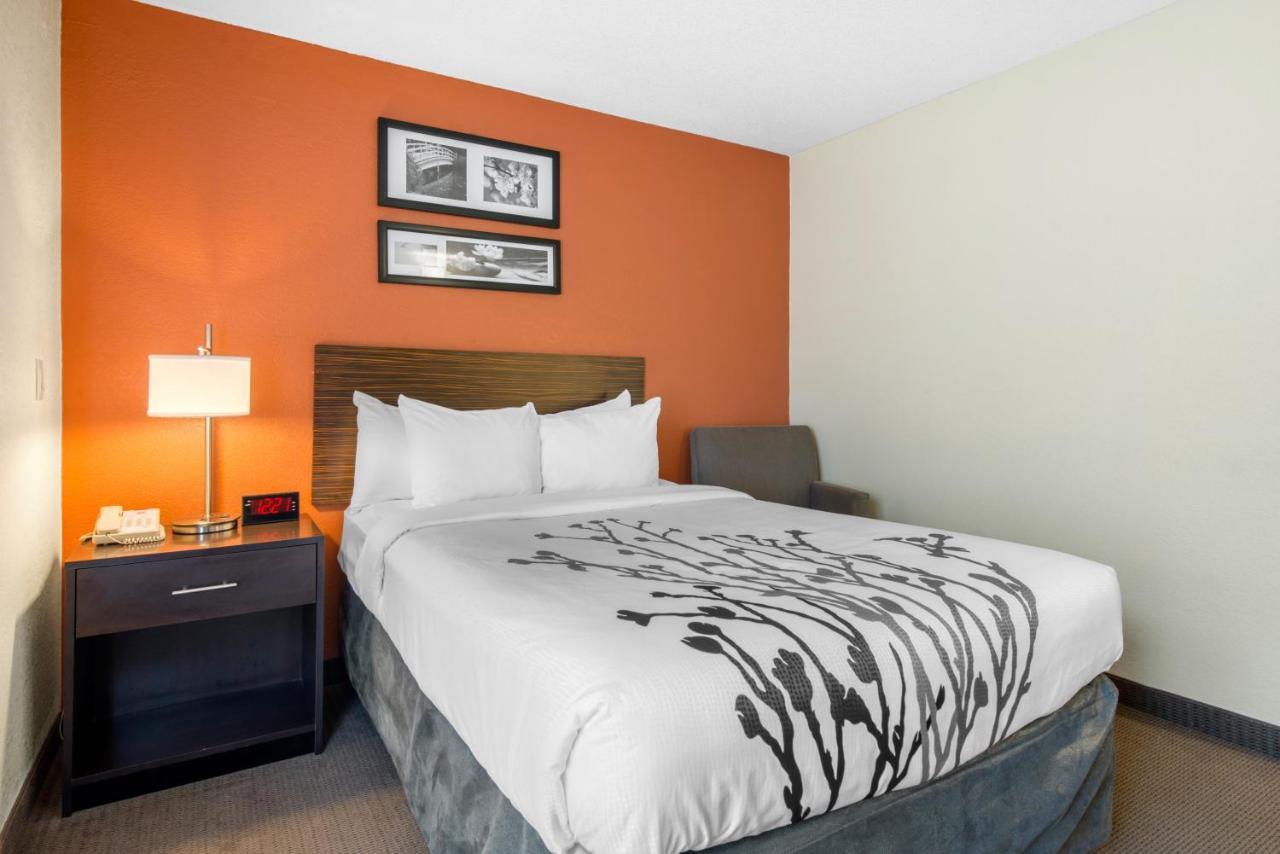 Double Room with Two Double Beds - Non Smoking/Pet Friendly,1276240210:JPEG