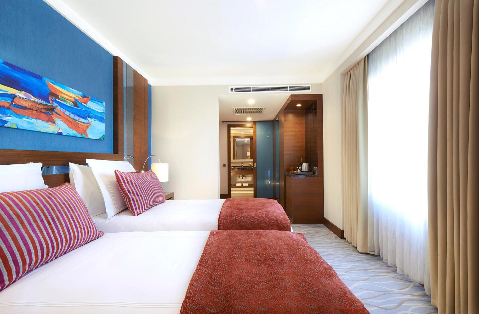 Superior Twin Room Mountain View