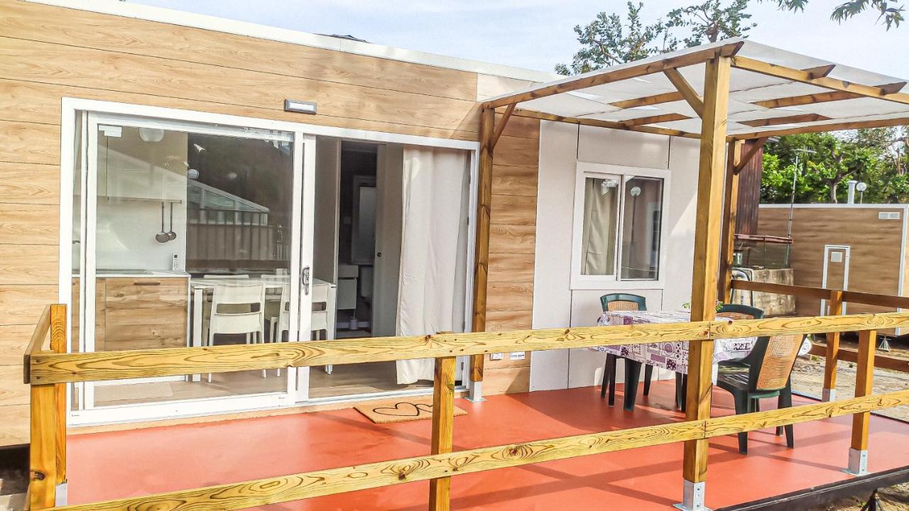Mobile Home