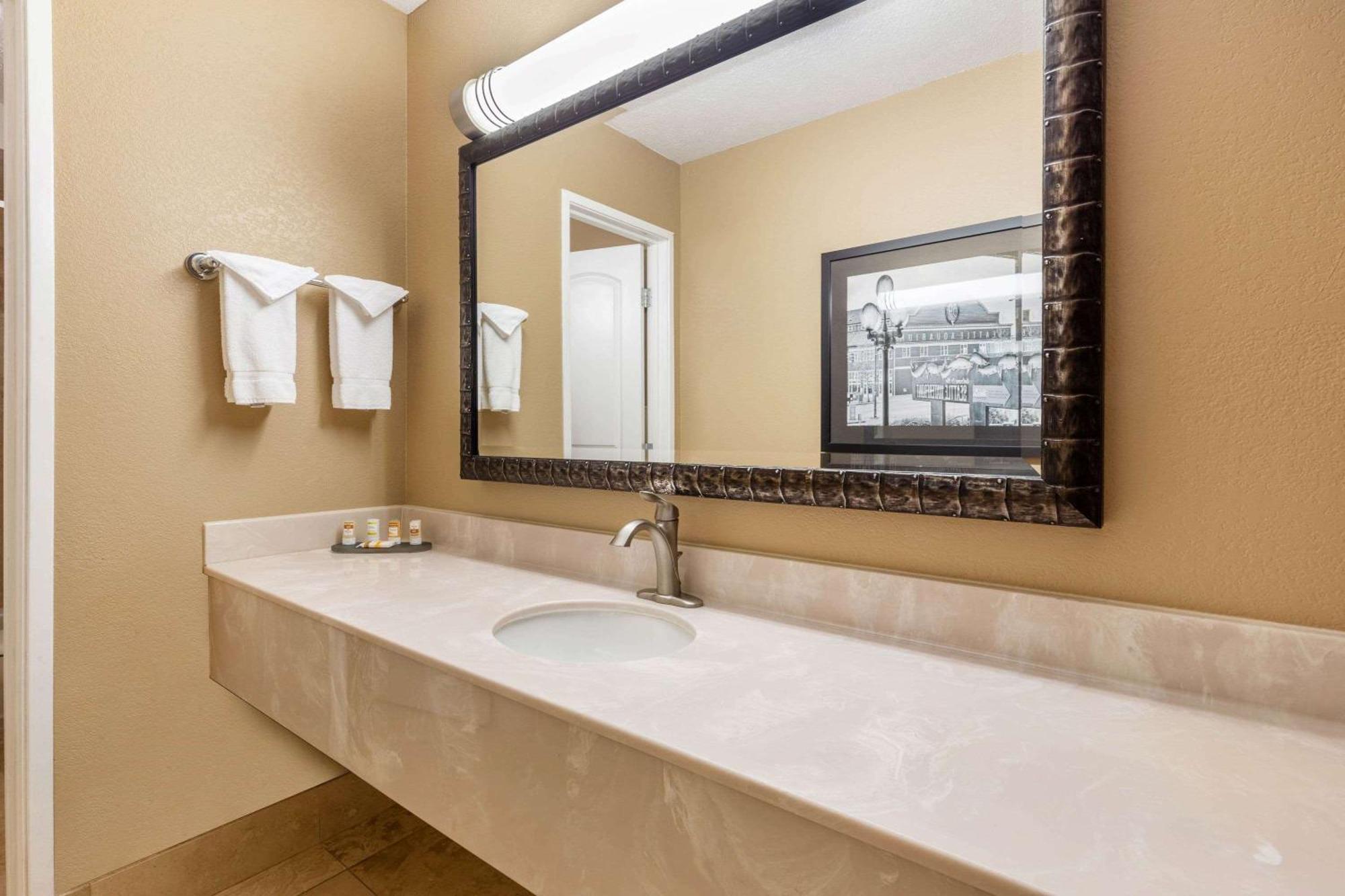 One-Bedroom King Suite Non-Smoking
