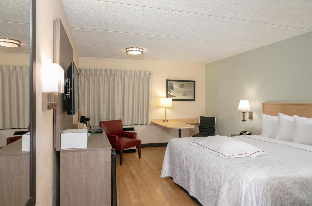 Premium King Room Disability Access Smoke Free (Upgraded Bedding and Snack Box),1551688813:JPEG