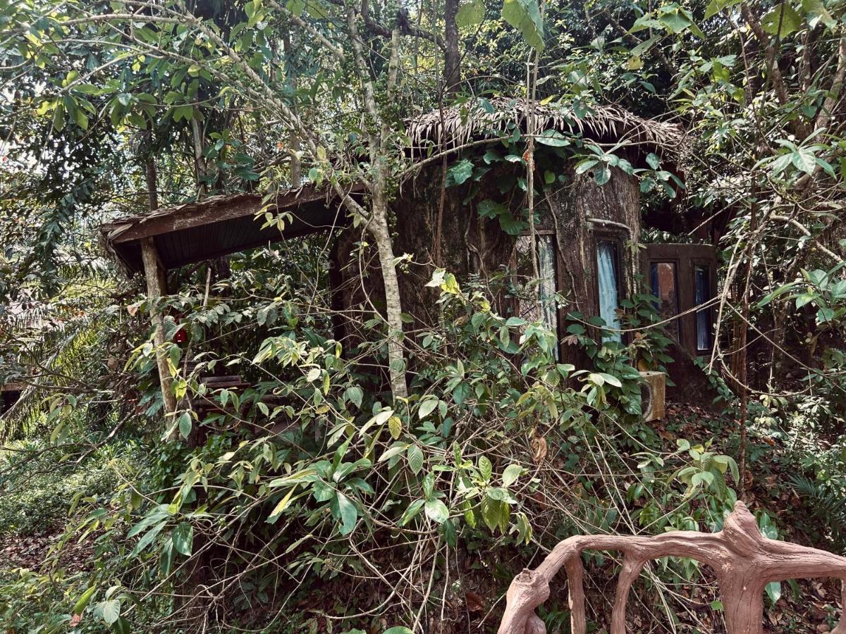 Bungalow with Garden View,1498785508:JPEG