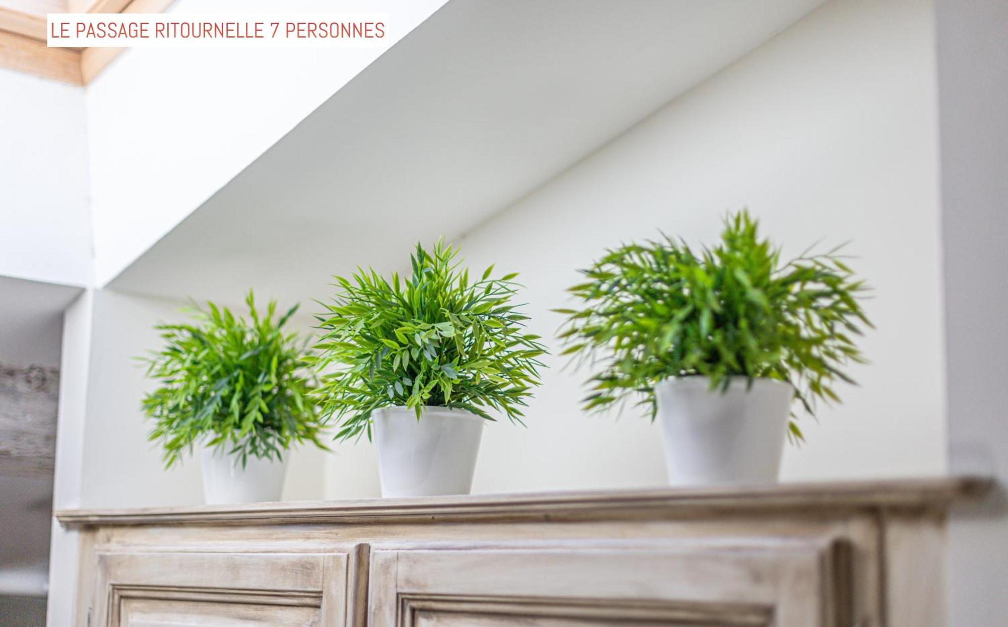 Appartement Standard