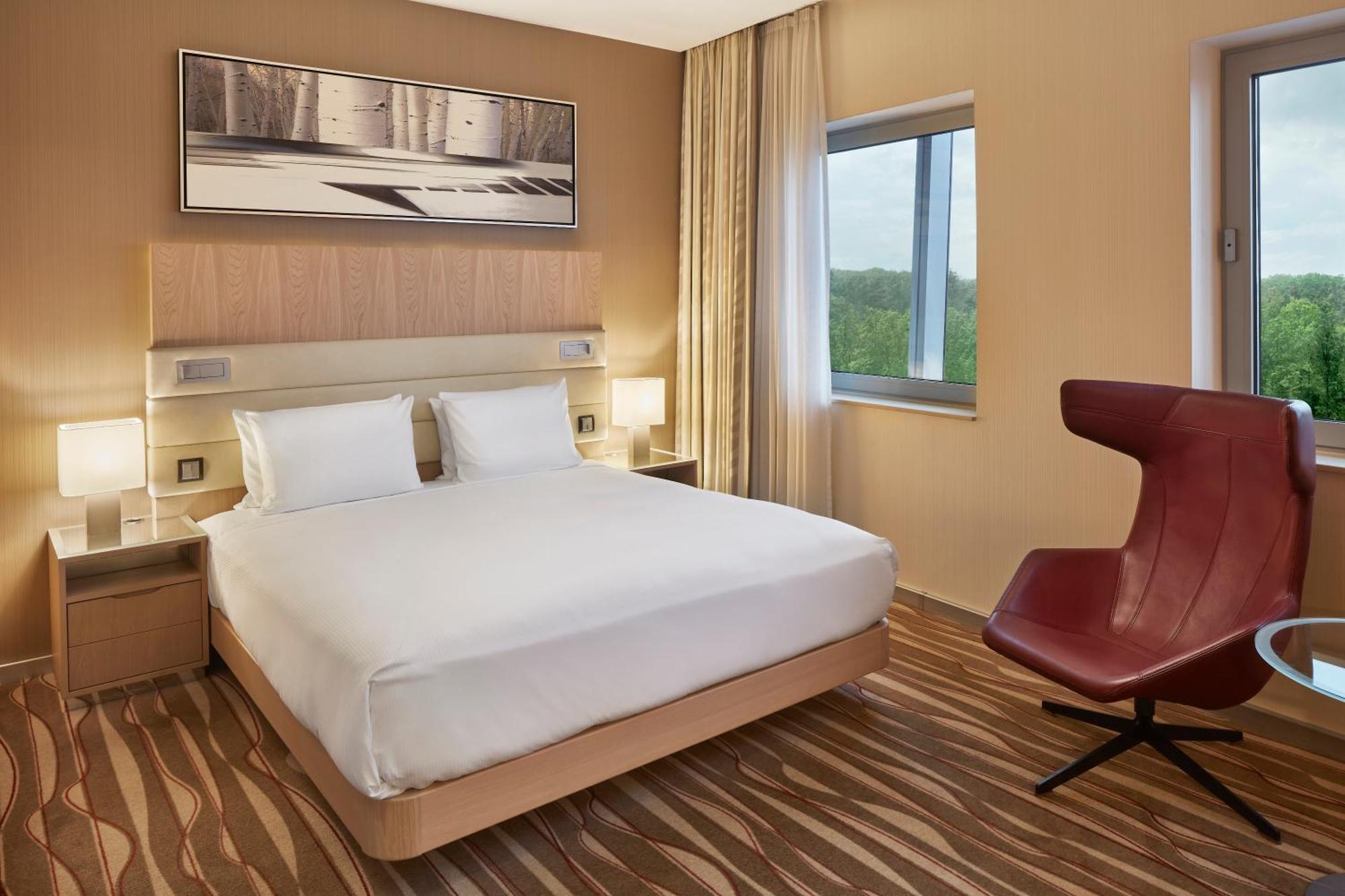 Deluxe Suite met Kingsize Bed
