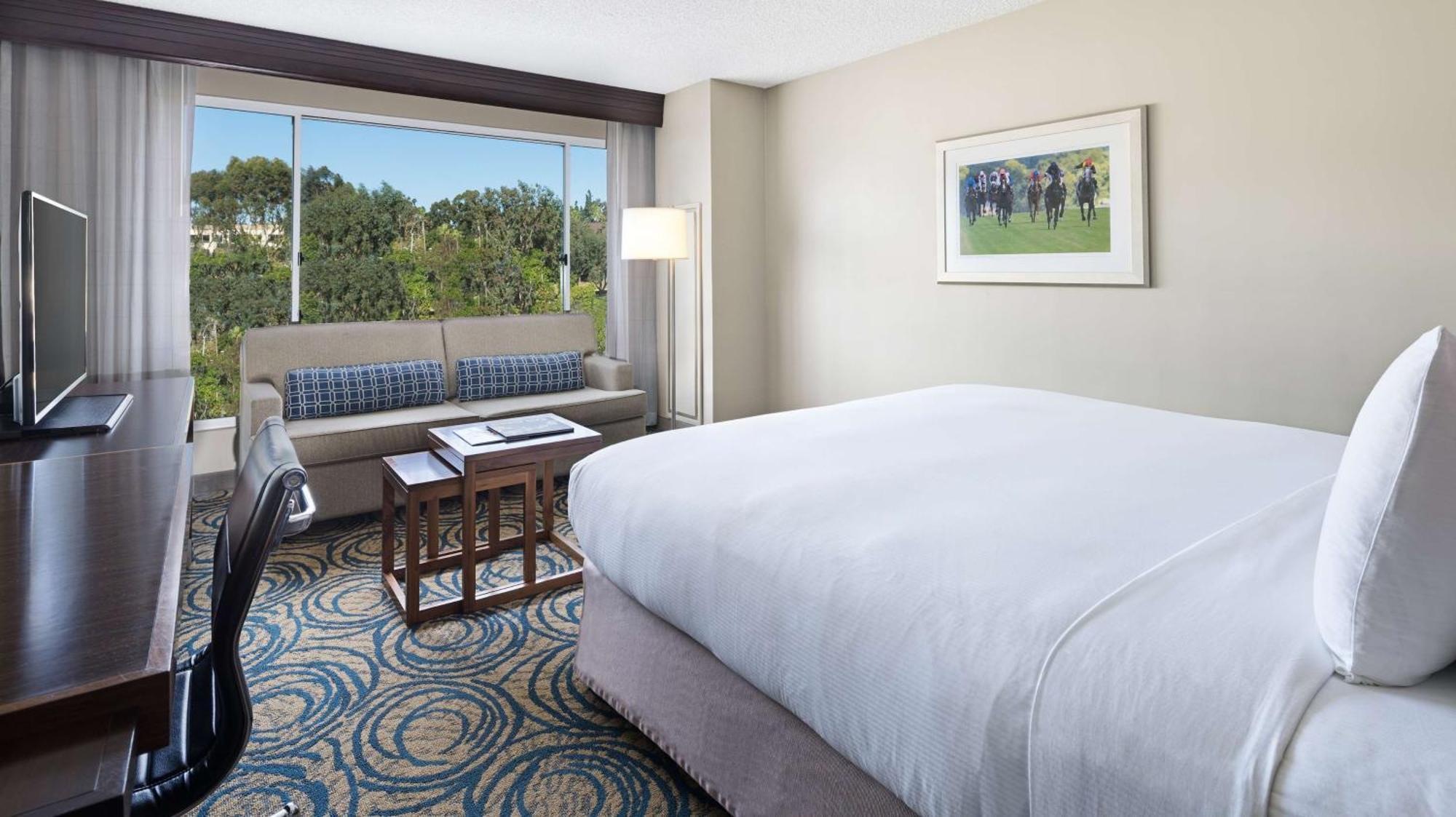 Habitación con cama extragrande, sofá cama y vistas a la piscina