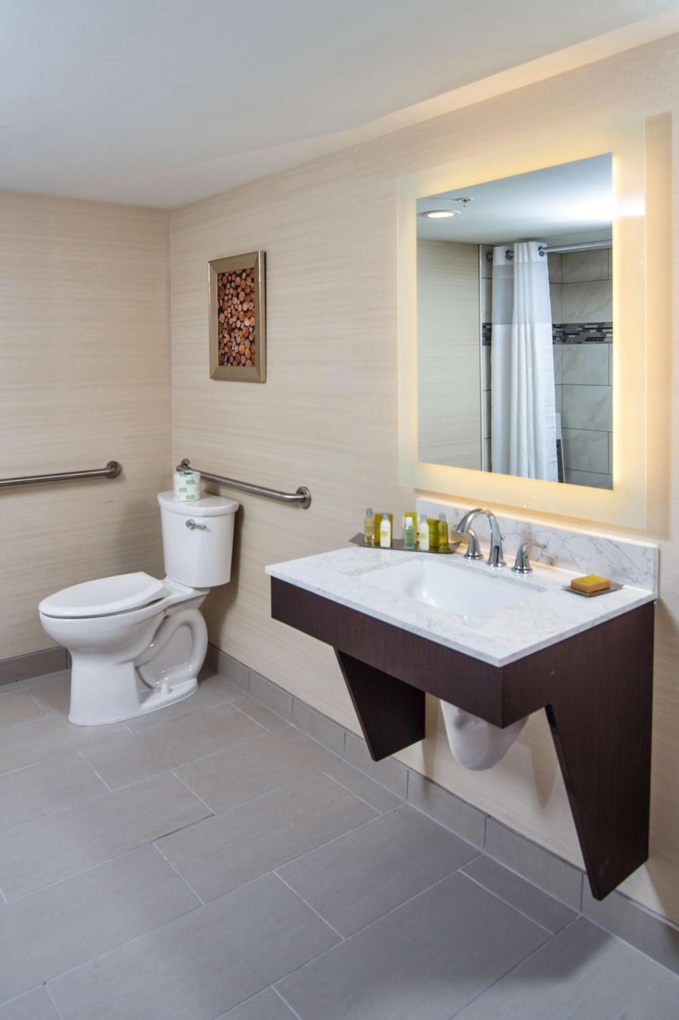 King Room with Roll-in Shower