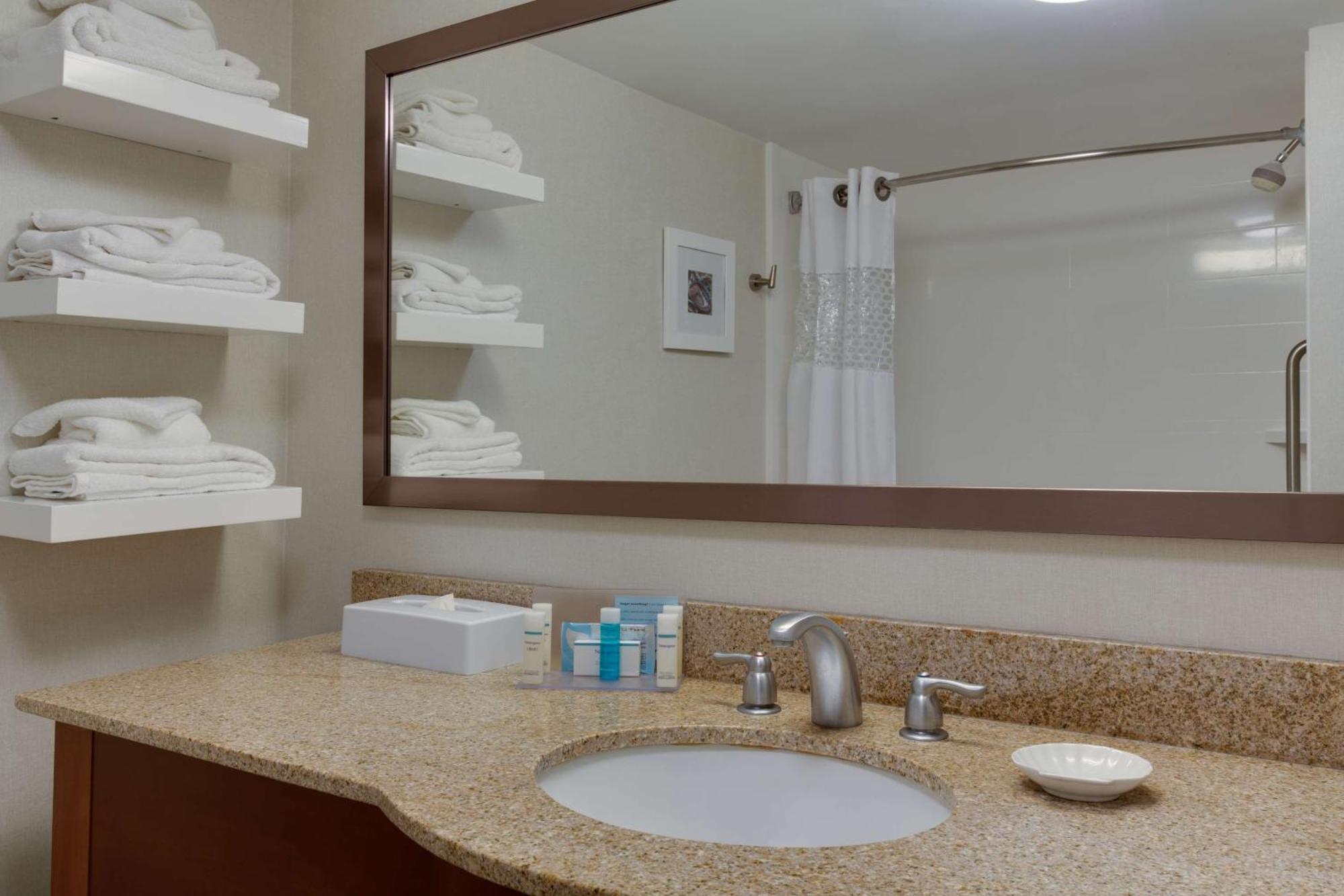 One-Bedroom King Suite with Sofa Bed - Non-Smoking,1557863770:JPEG