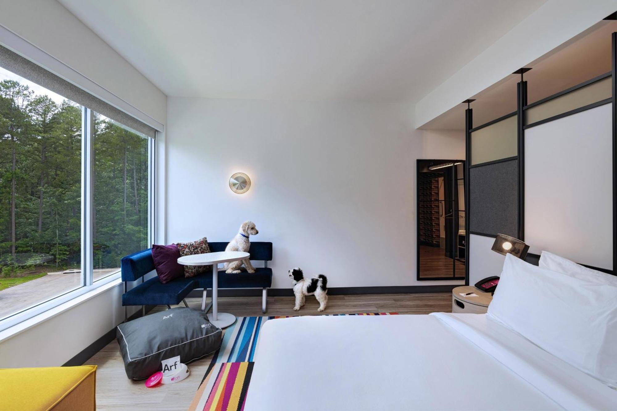 Dog Lover's, Guest room, 1 King,1616469900:JPEG