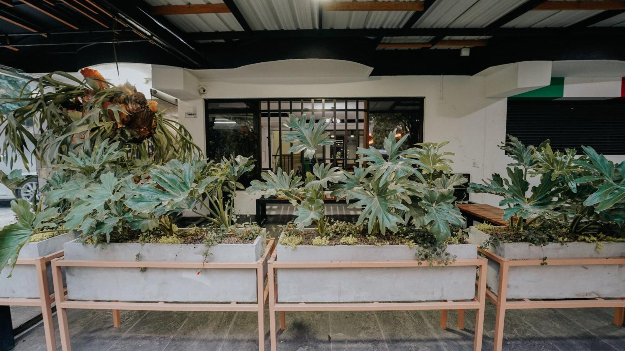 Double Room Balcony