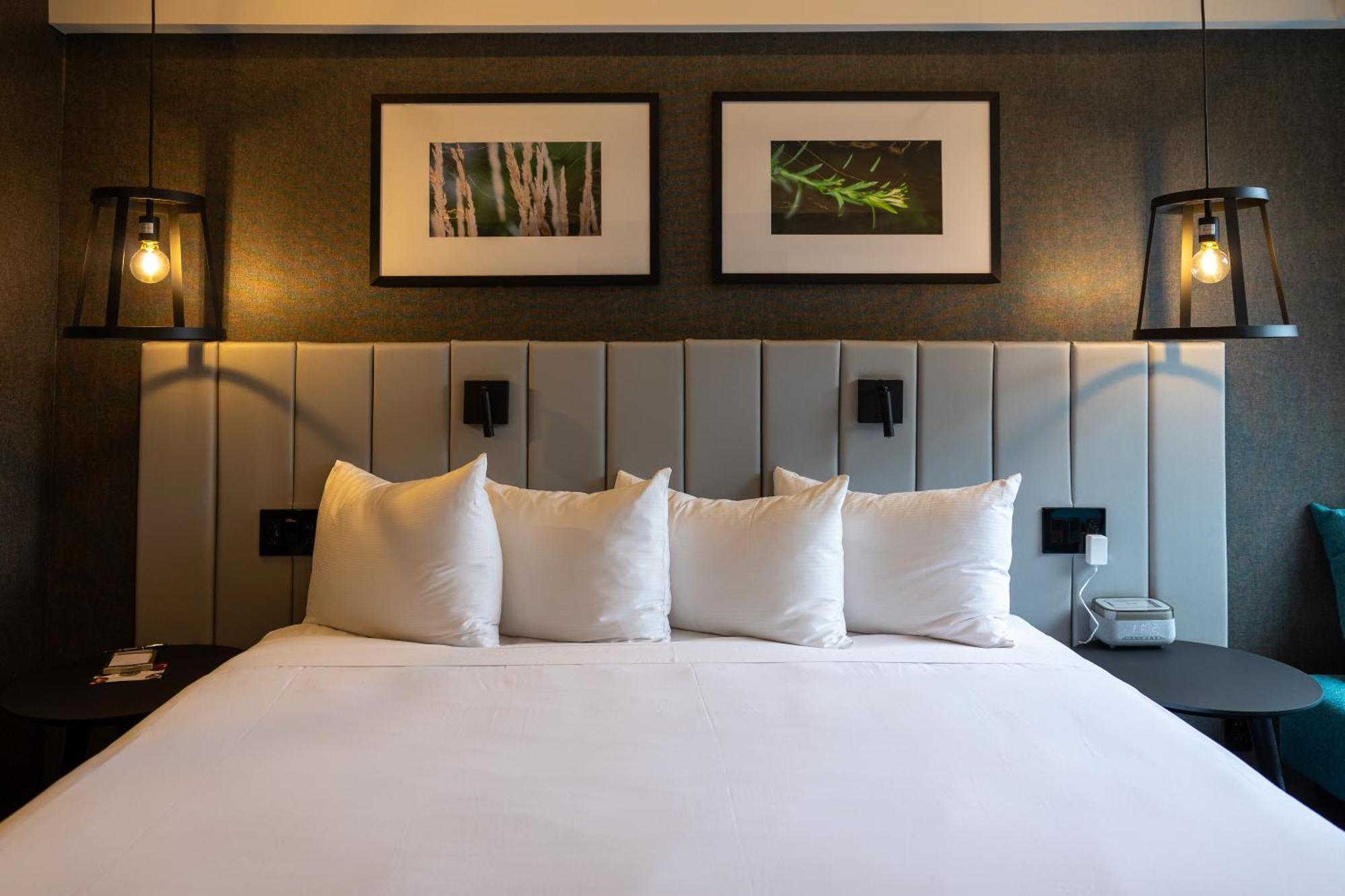 Superior Room, 1 King Bed