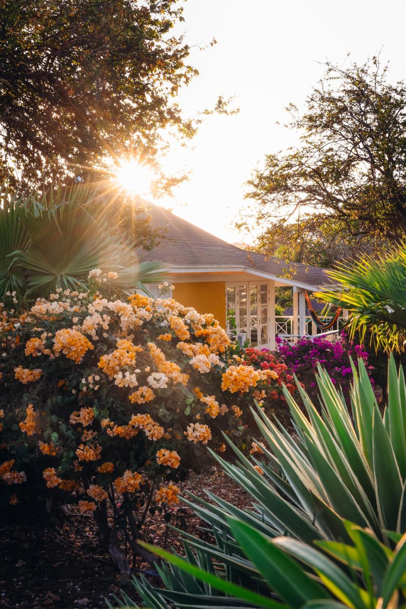 Bungalow de 2 dormitorios