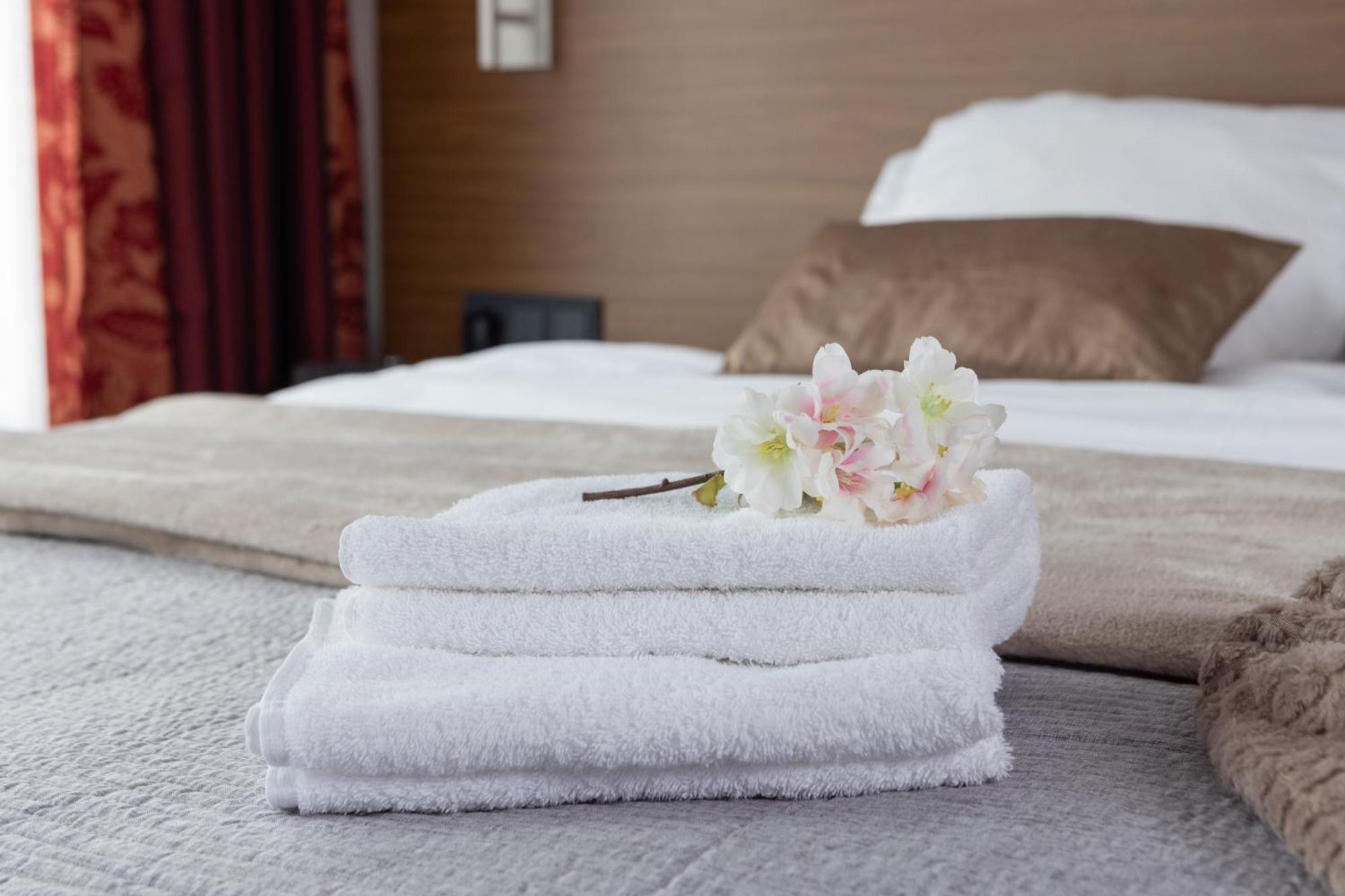 Standard Single Room,1710580848:JPEG