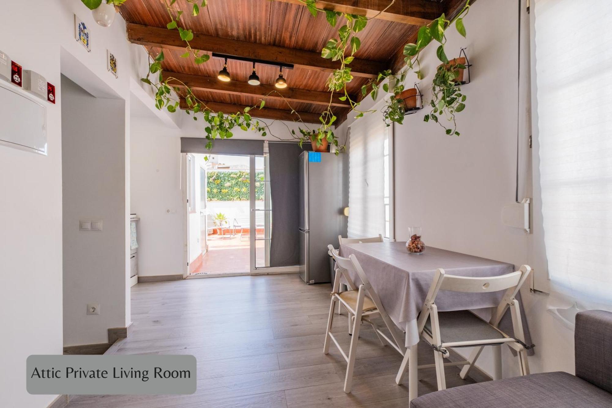 Apartment Terrace