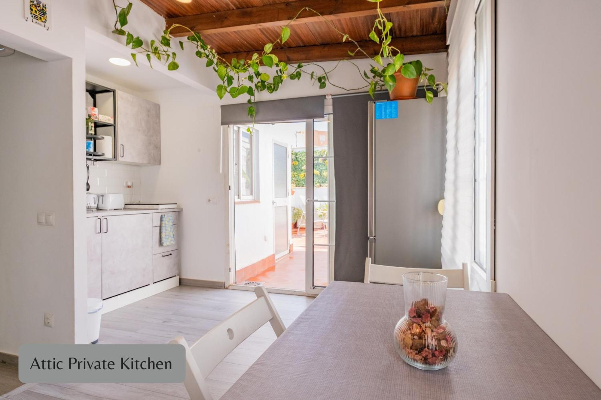 Apartment Terrace