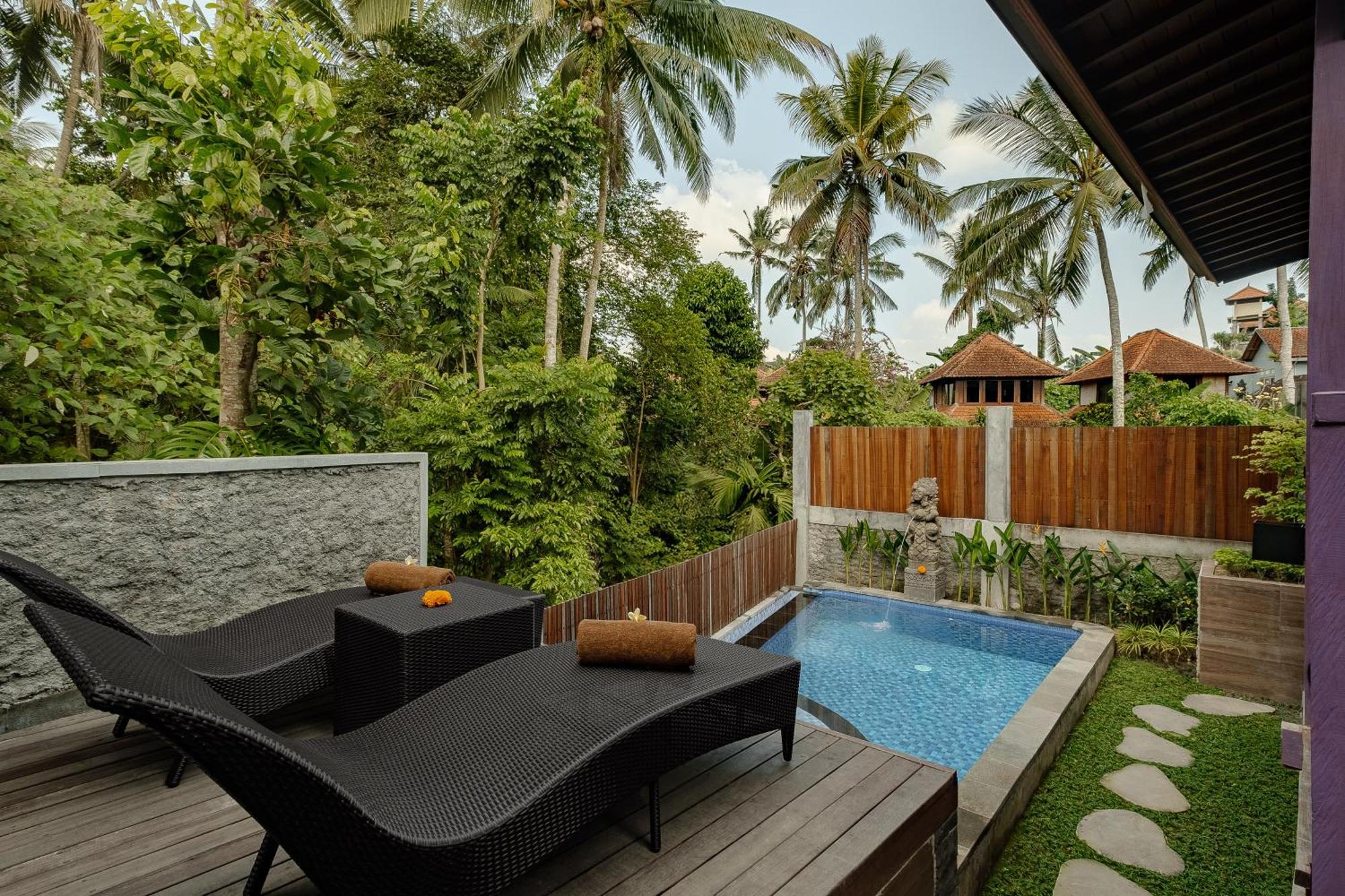 One Bedroom Villa Jungle View,1708362277:JPEG