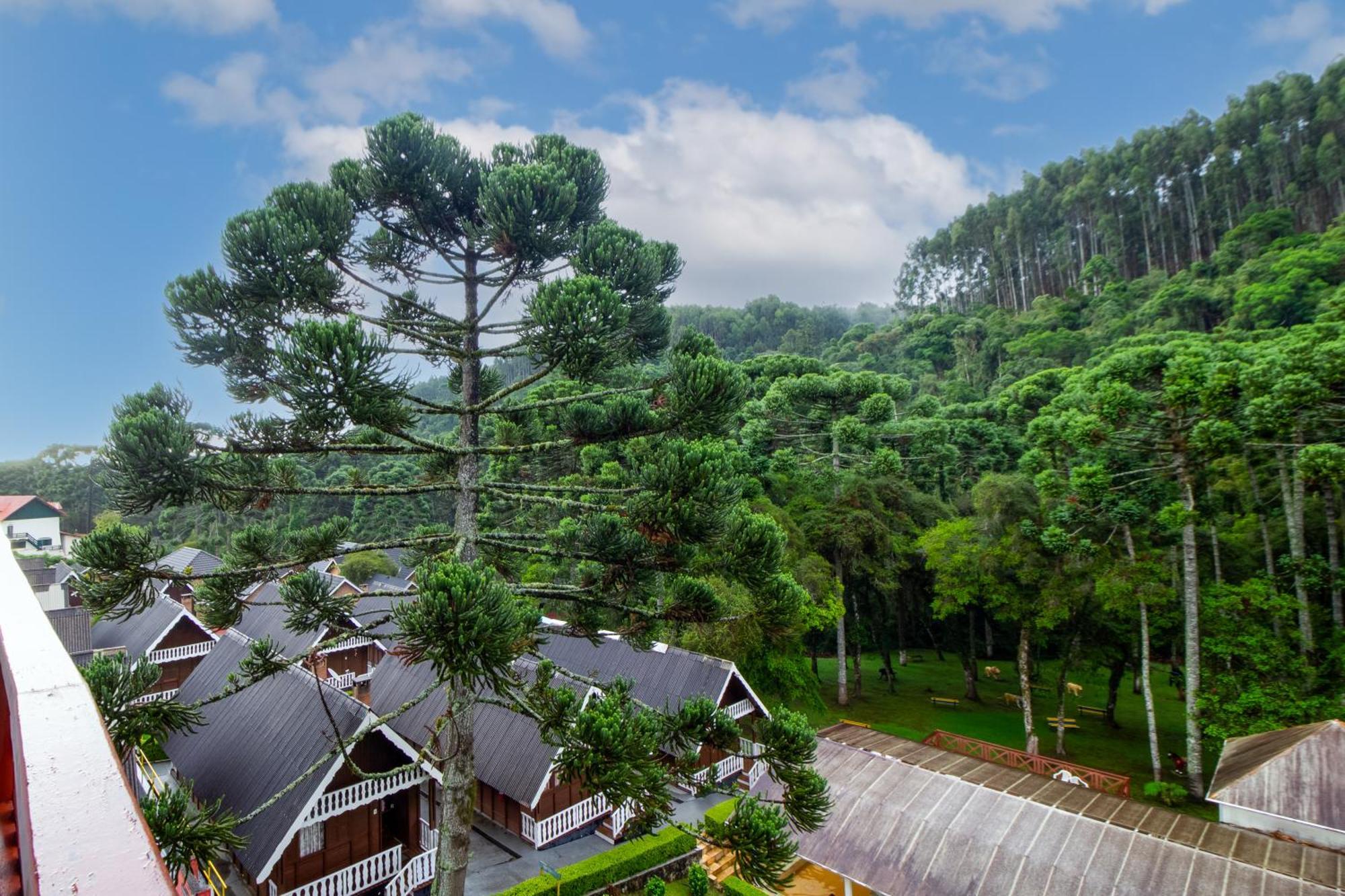 Master Room,1742733449:JPEG