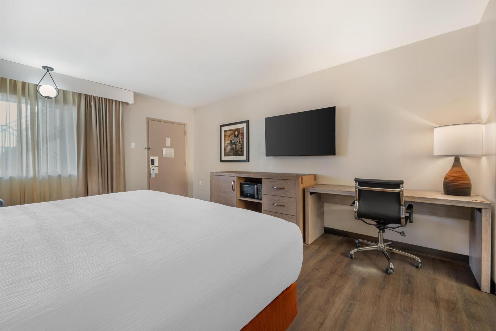 King Room - Pet Friendly/Non-Smoking