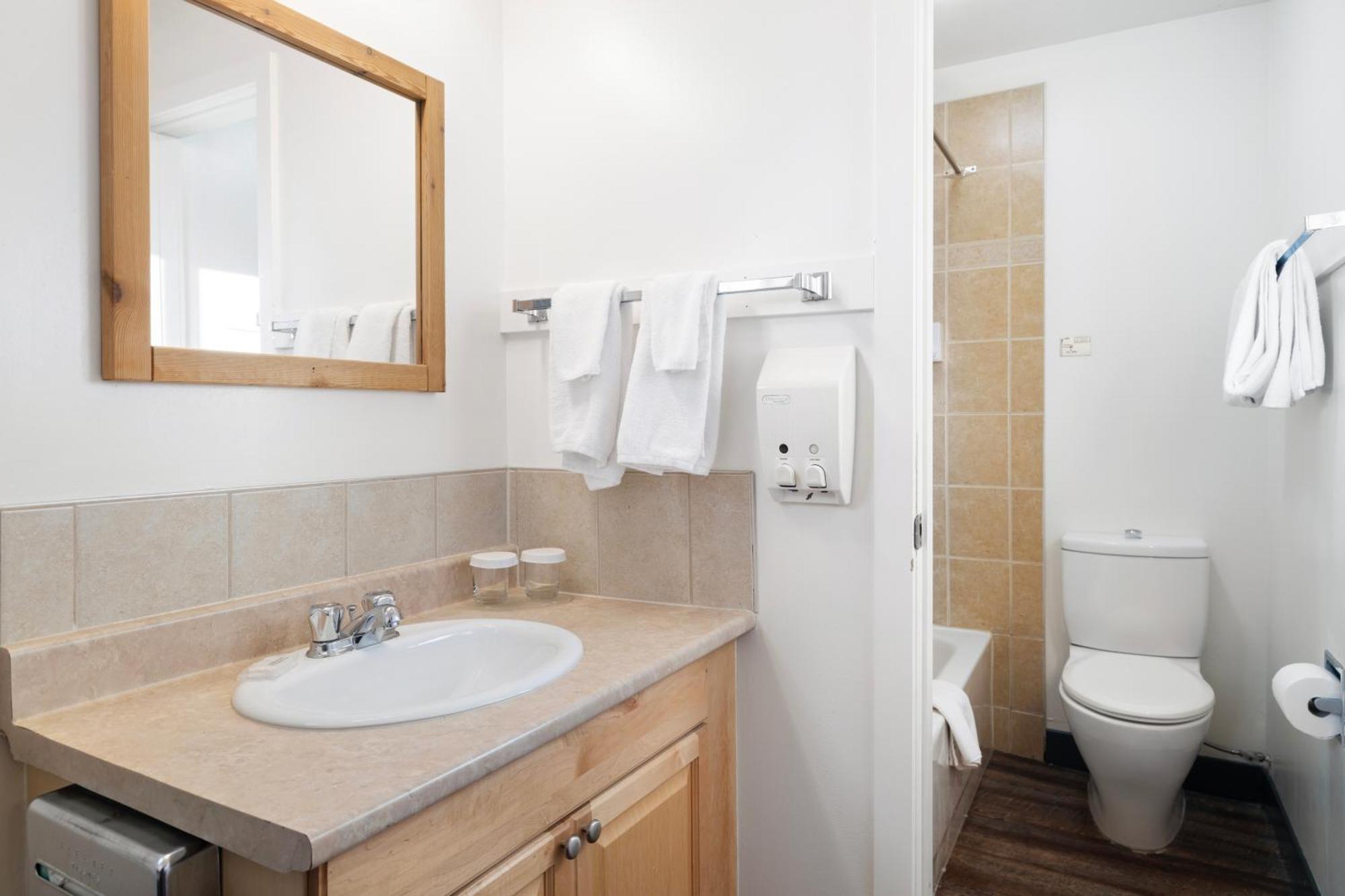 Standard Queen Twin Room