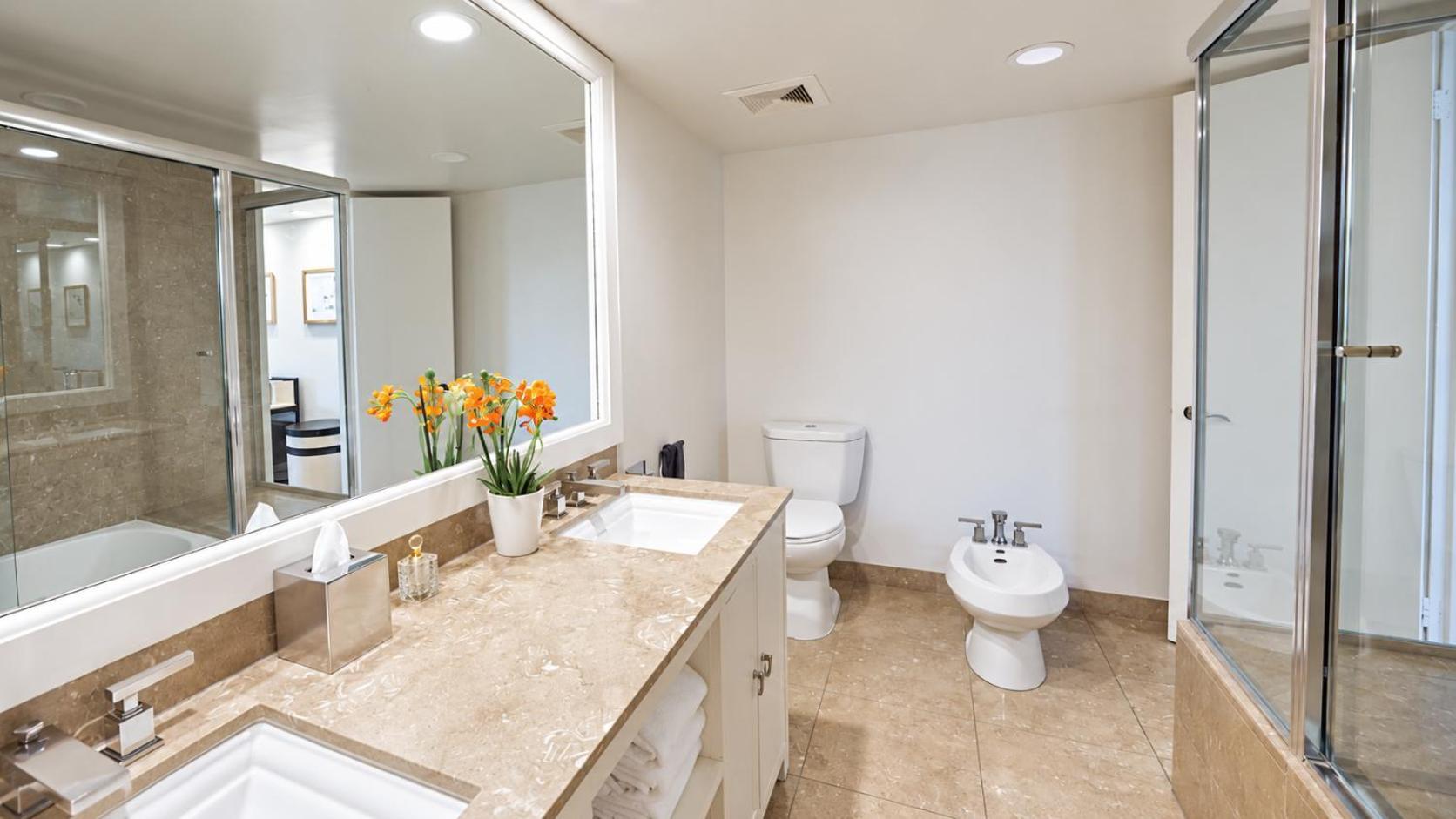 Vista Suite