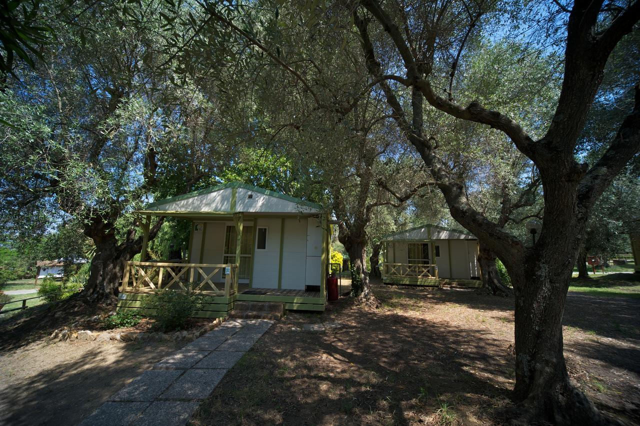 Chalet met 2 Slaapkamers
