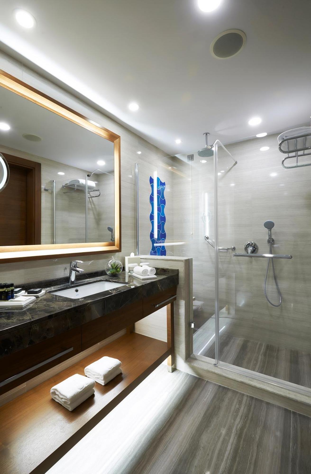 Superior Twin Room Mountain View