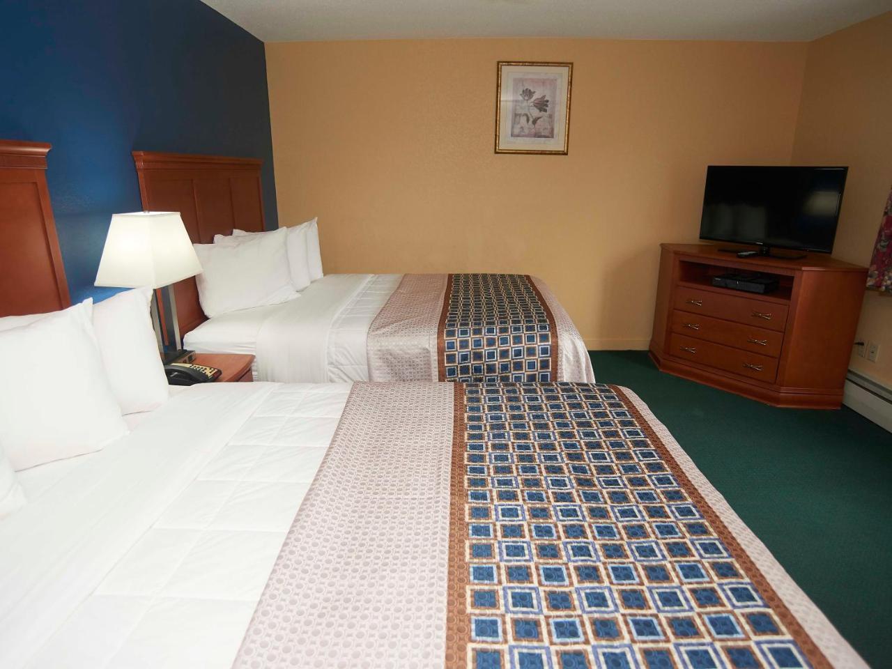 Two Queen Beds Kitchen
