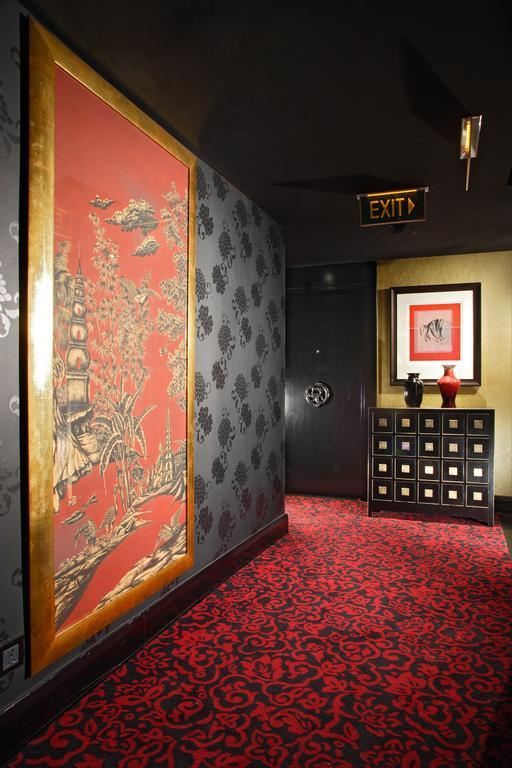 Camera King Signature Premier