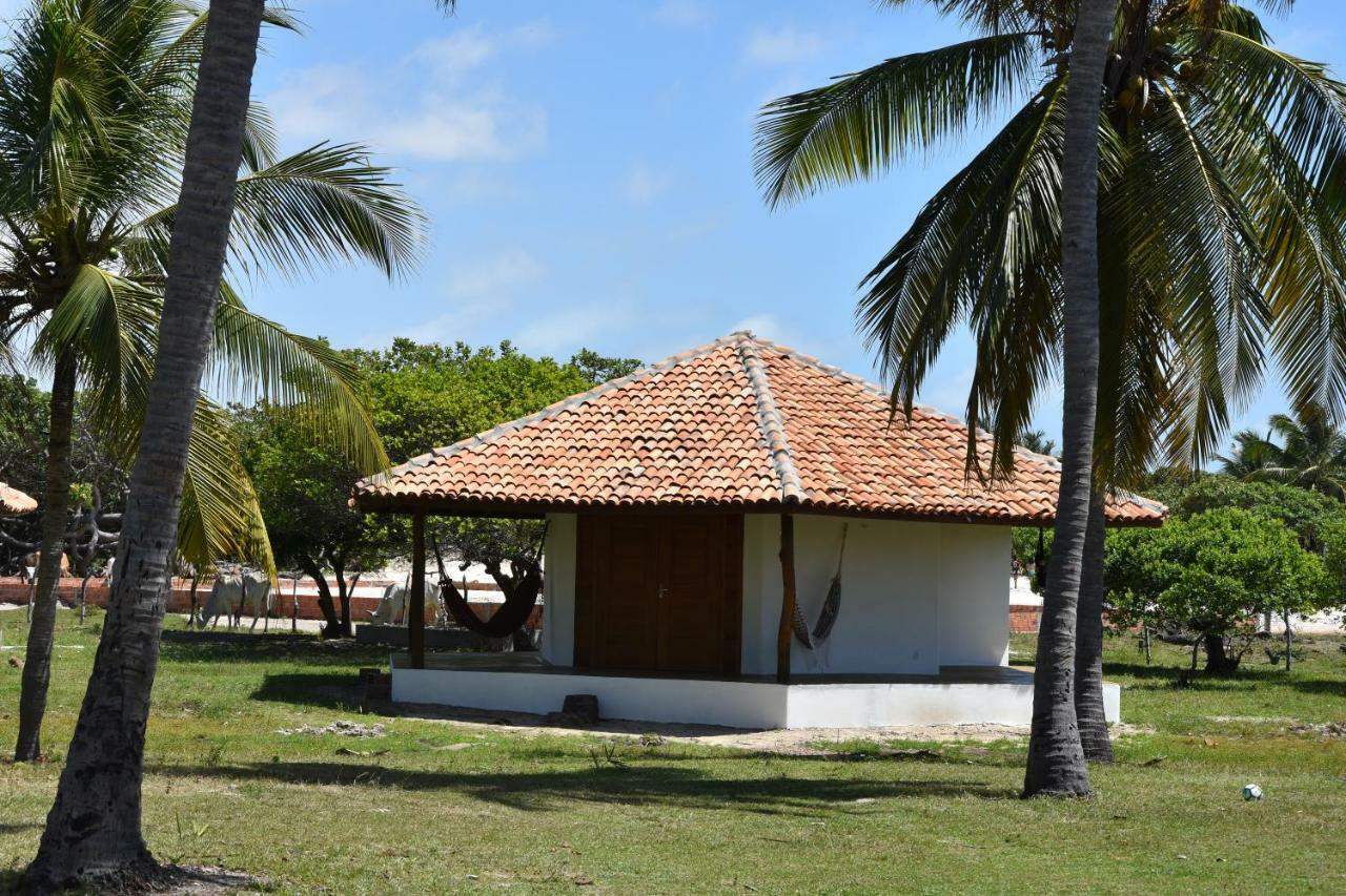 Superior Bungalow,836857514:JPEG