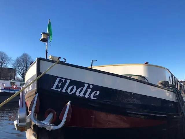Botel Elodie-1