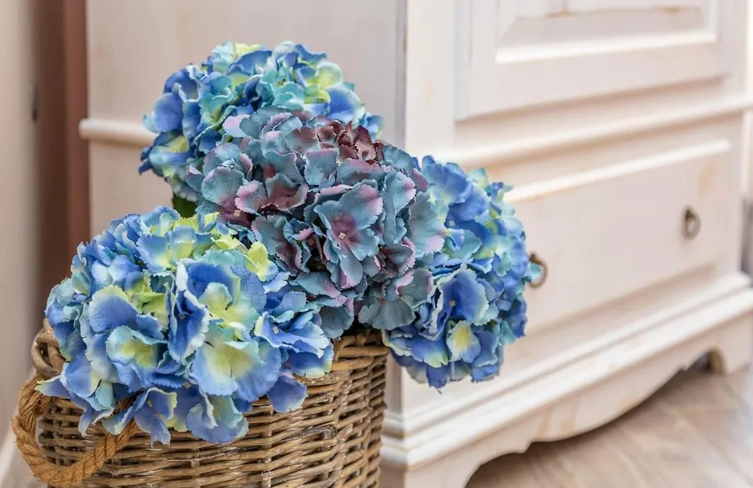 B&B da Chiara-1
