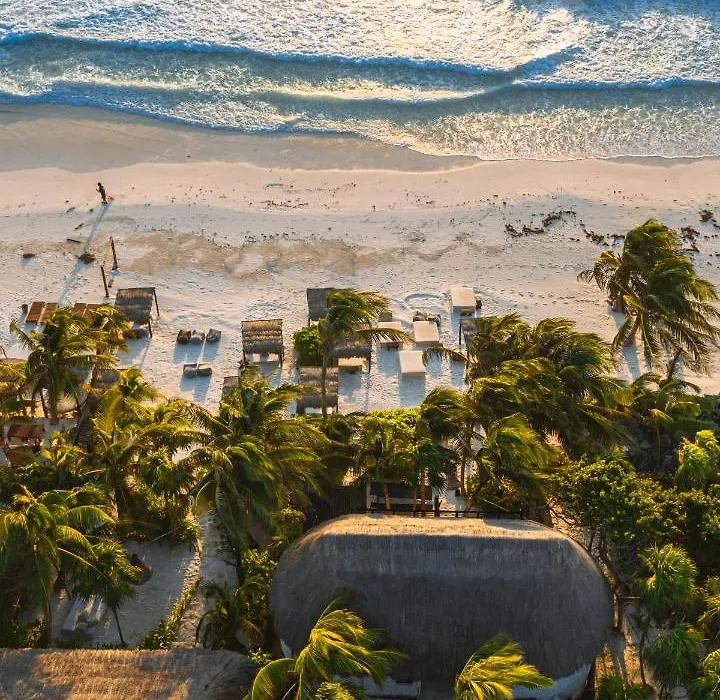 Nest Tulum-1