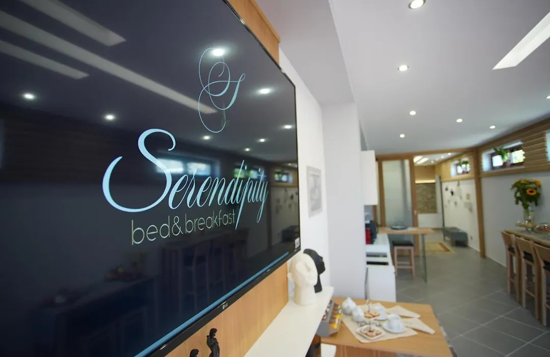 Serendipity B&B-1
