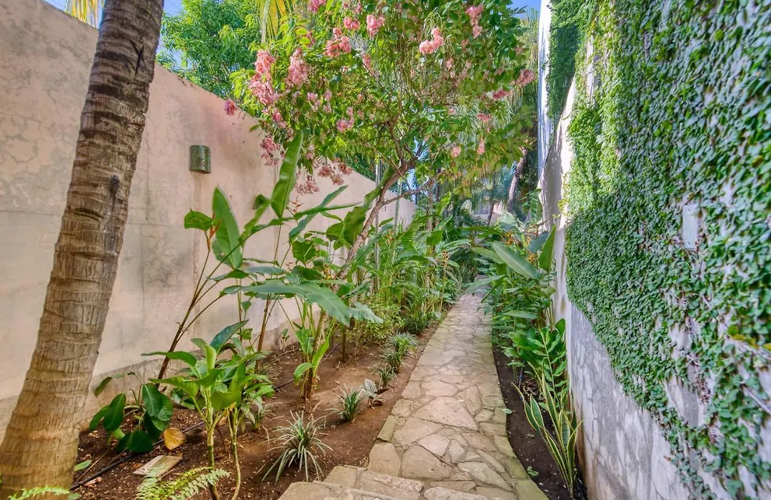 Boutique Hotel Secret Garden Granada-1
