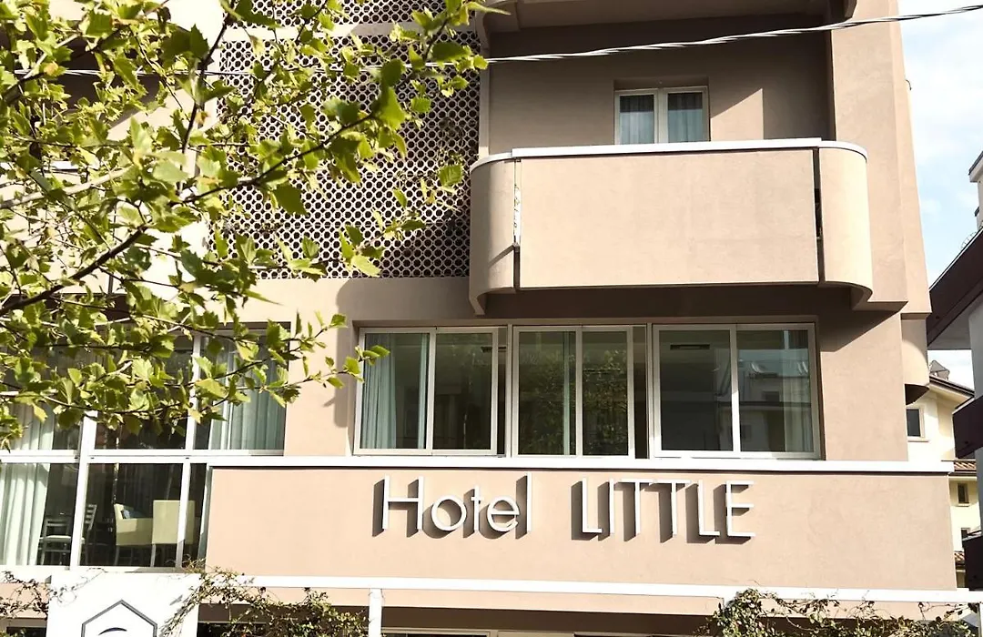Hotel Little-1