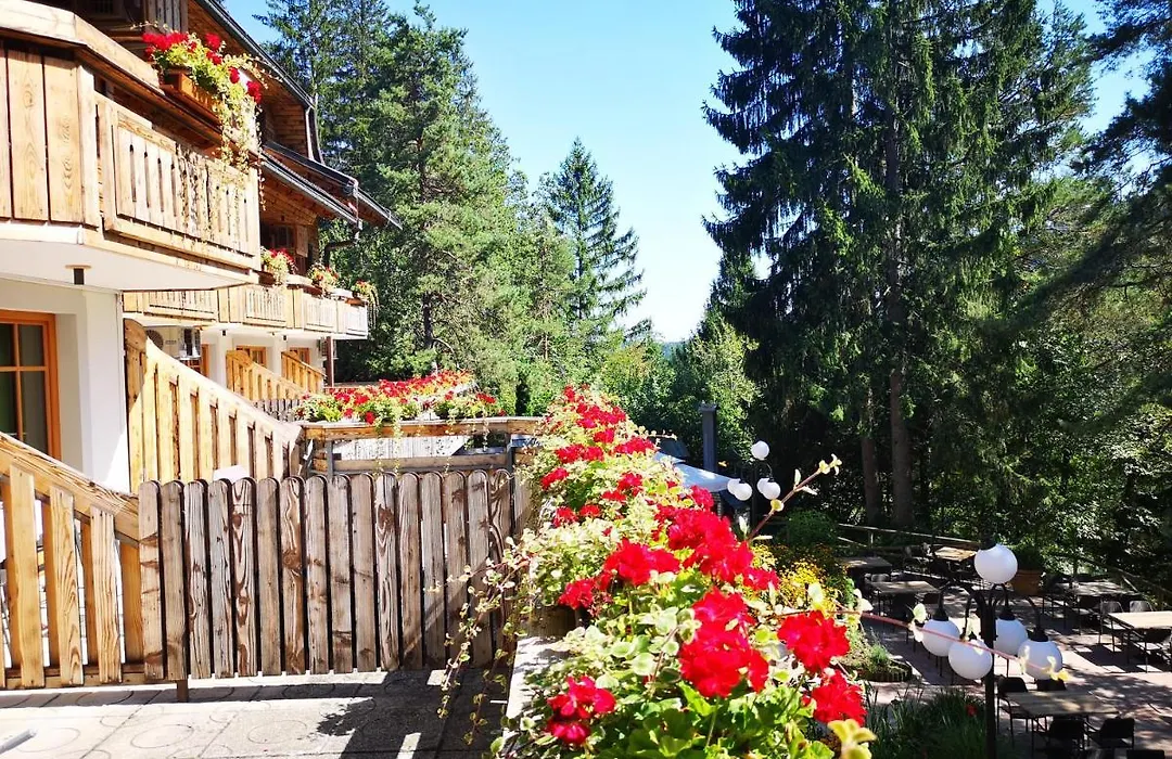 Ribno Alpine Hotel-1