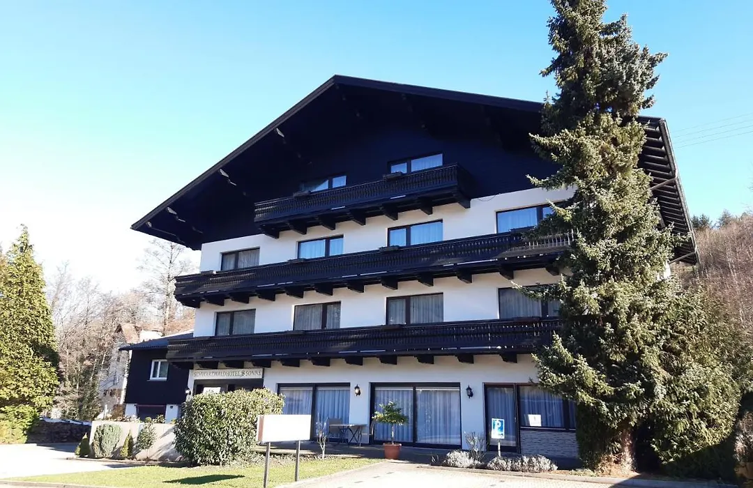 Schwarzwaldhotel Sonne-1