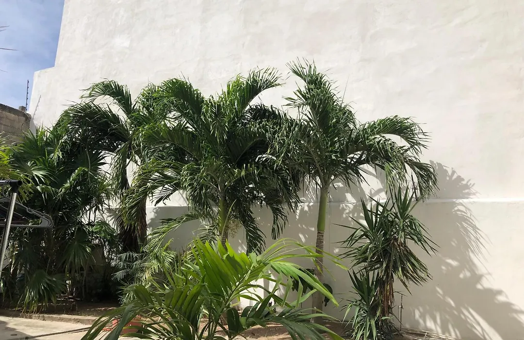Studios Playa-1