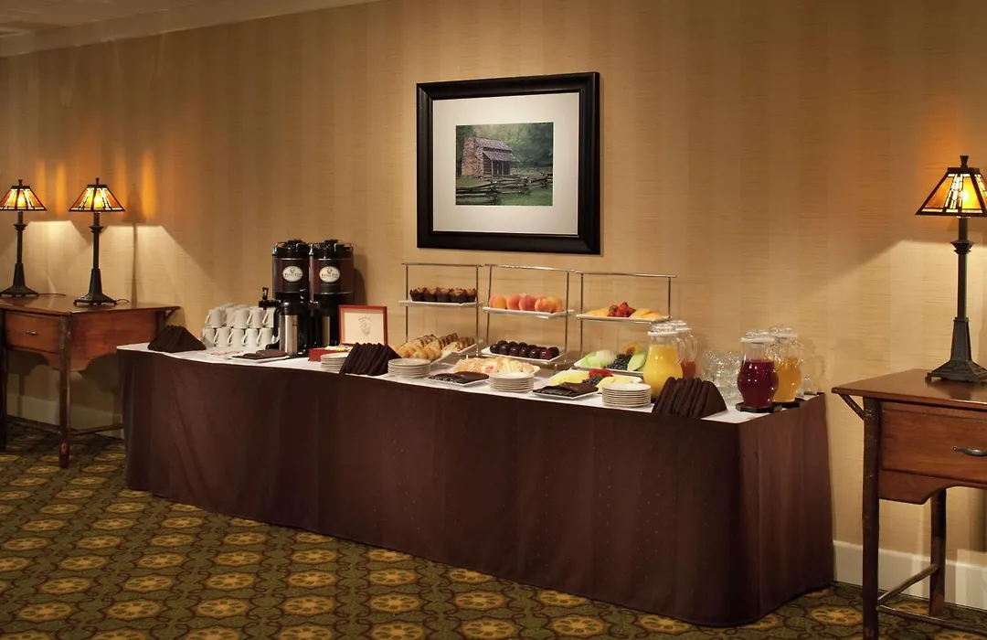 The Park Vista - A Doubletree By Hilton Hotel - Gatlinburg-1