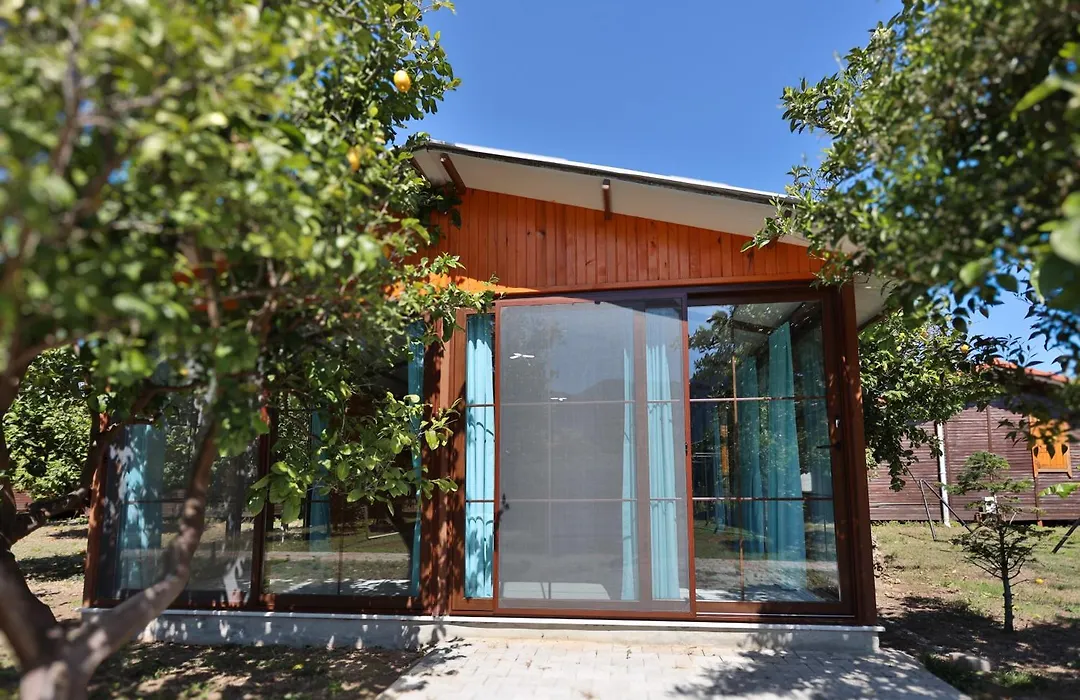 Baris Pension & Bungalows-1
