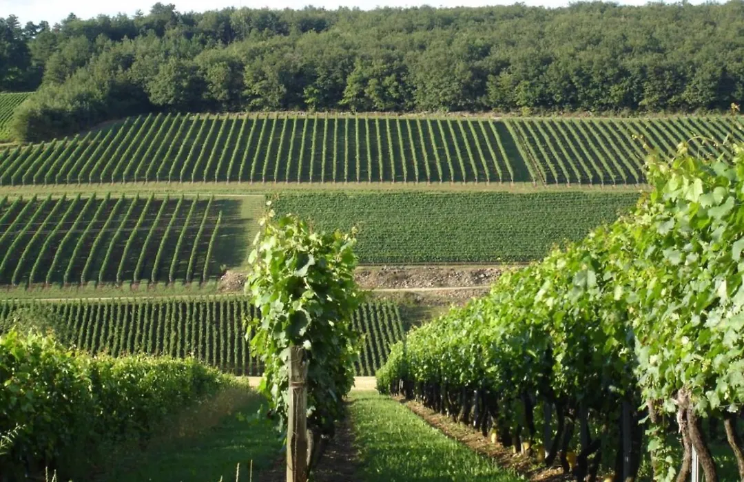 Douce Nuits-1