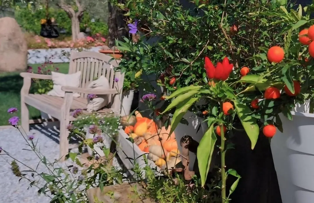 Casa Autunno-1