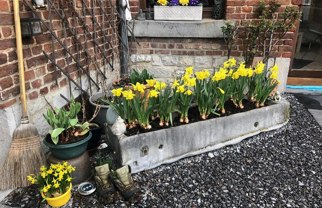 B&B La Grange-1