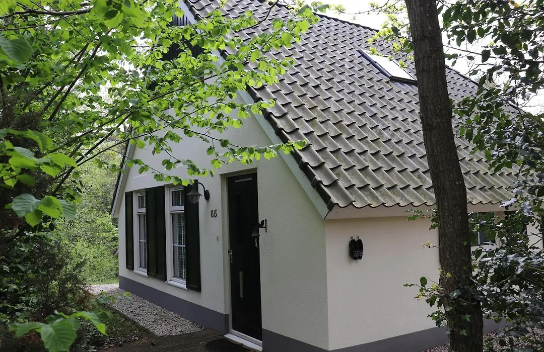 Vakantiehuis de Witte Bergen-1