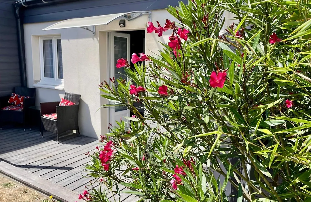 La fleur des marais-1