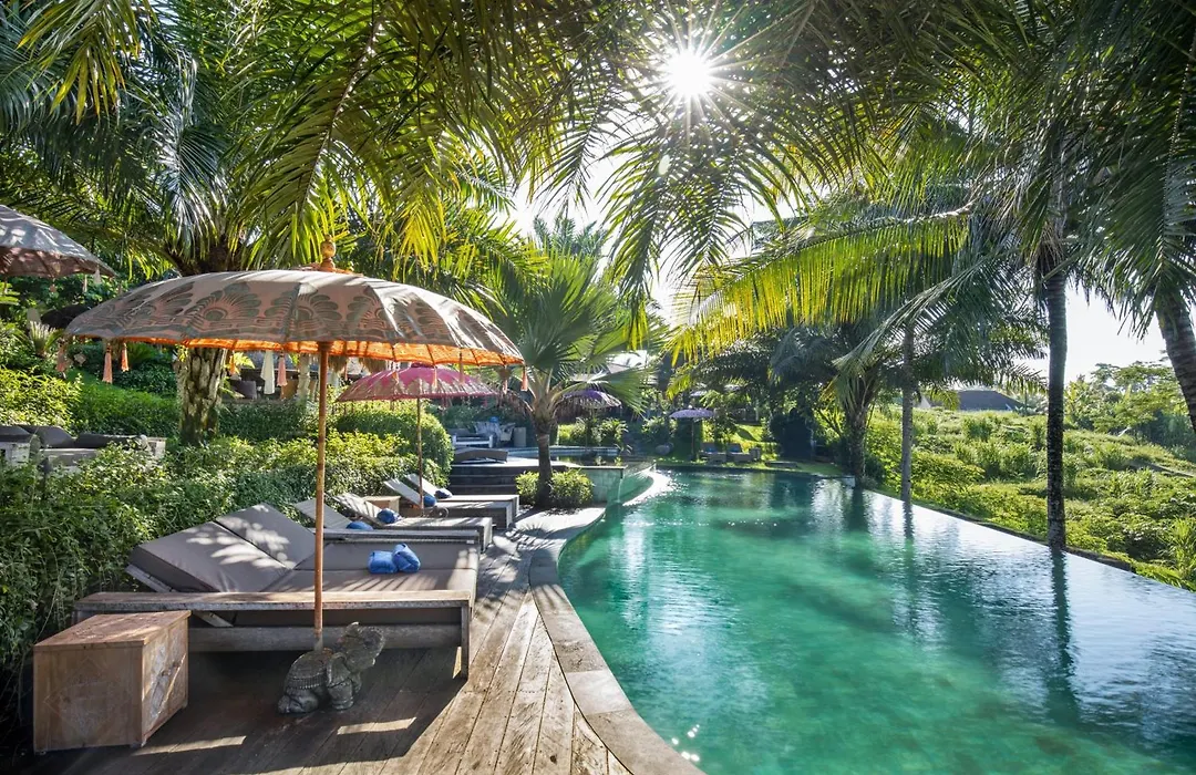 Blue Karma Dijiwa Ubud-1
