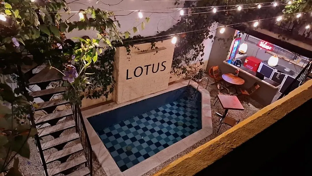 Lotus Central Hotel-1