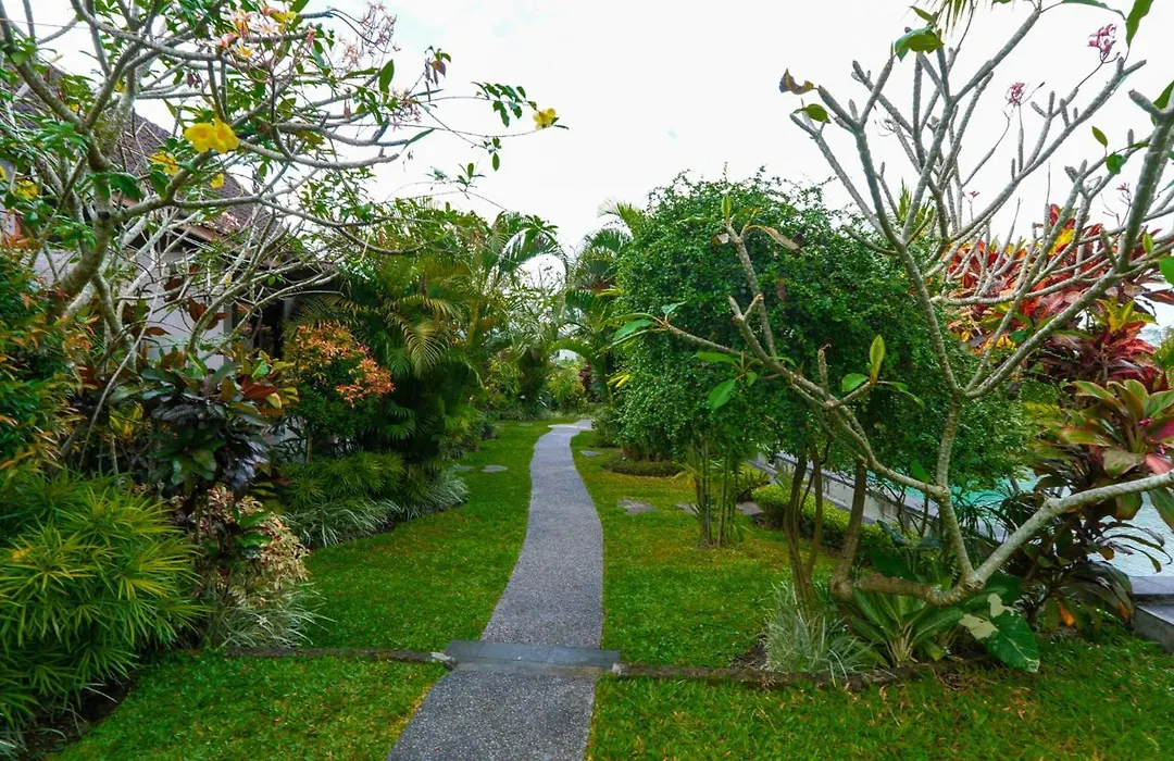 Green Coconut Cottage-1